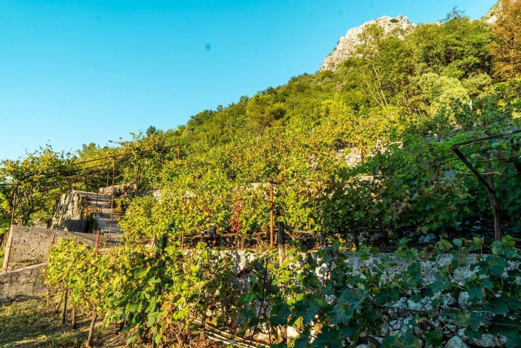 Pavle'S Oasis Virpazar Exterior foto