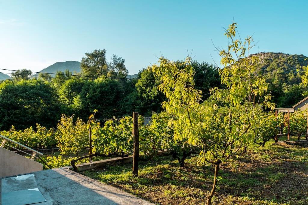 Pavle'S Oasis Virpazar Exterior foto